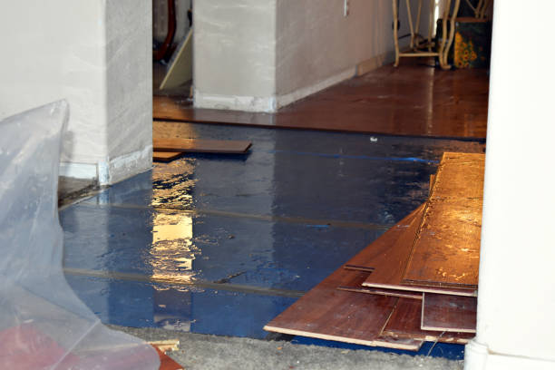 Professional Flood Cleanup technician working in Twin Peaks, CA
